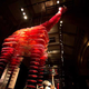 Image for article titled This is what a skinless elephant and a shark made out of blood vessels look like
